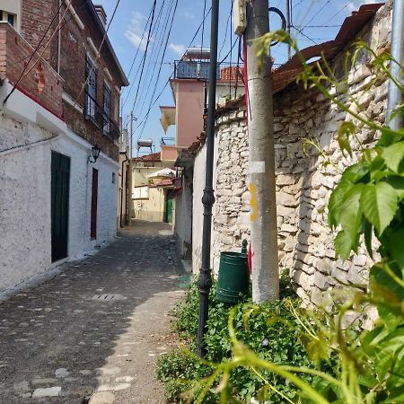 Private Apartment Elbasan Historic Center 외부 사진