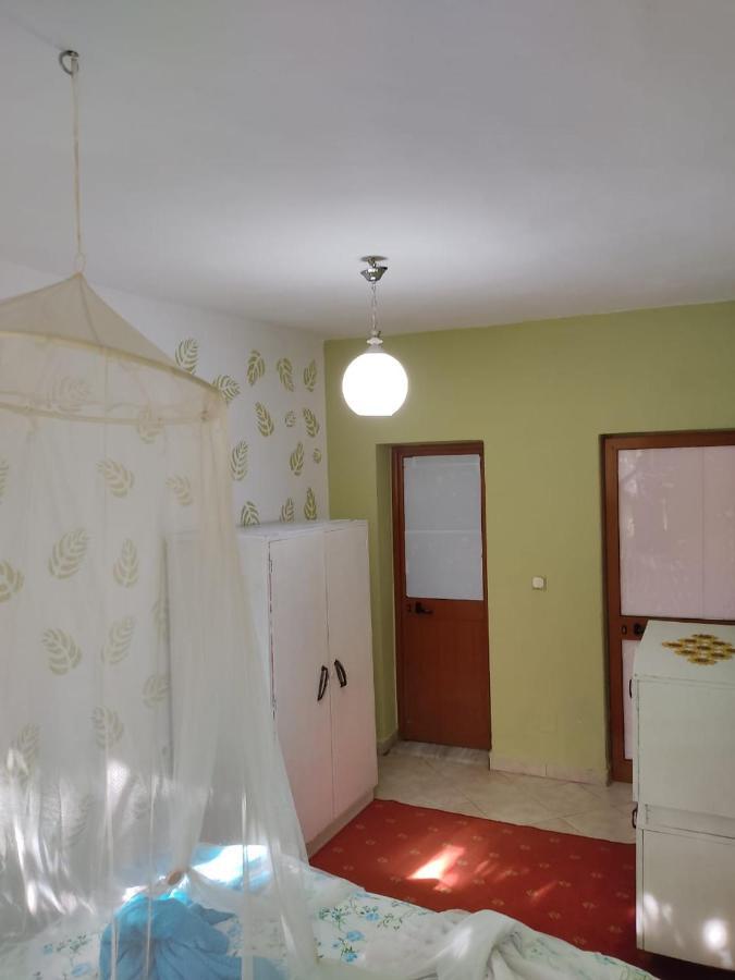 Private Apartment Elbasan Historic Center 외부 사진