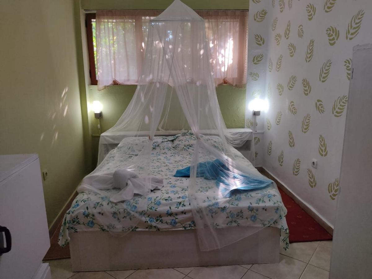 Private Apartment Elbasan Historic Center 외부 사진