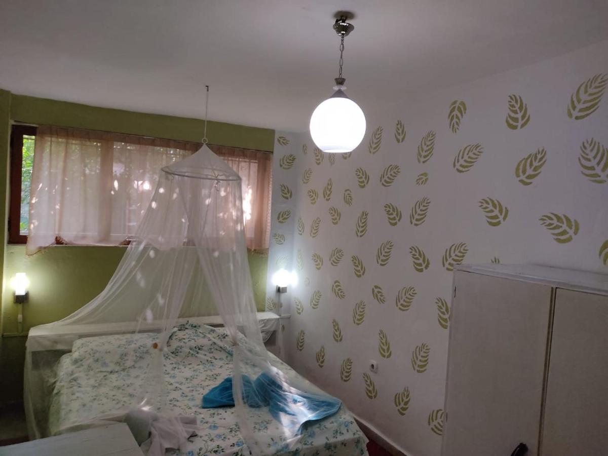 Private Apartment Elbasan Historic Center 외부 사진