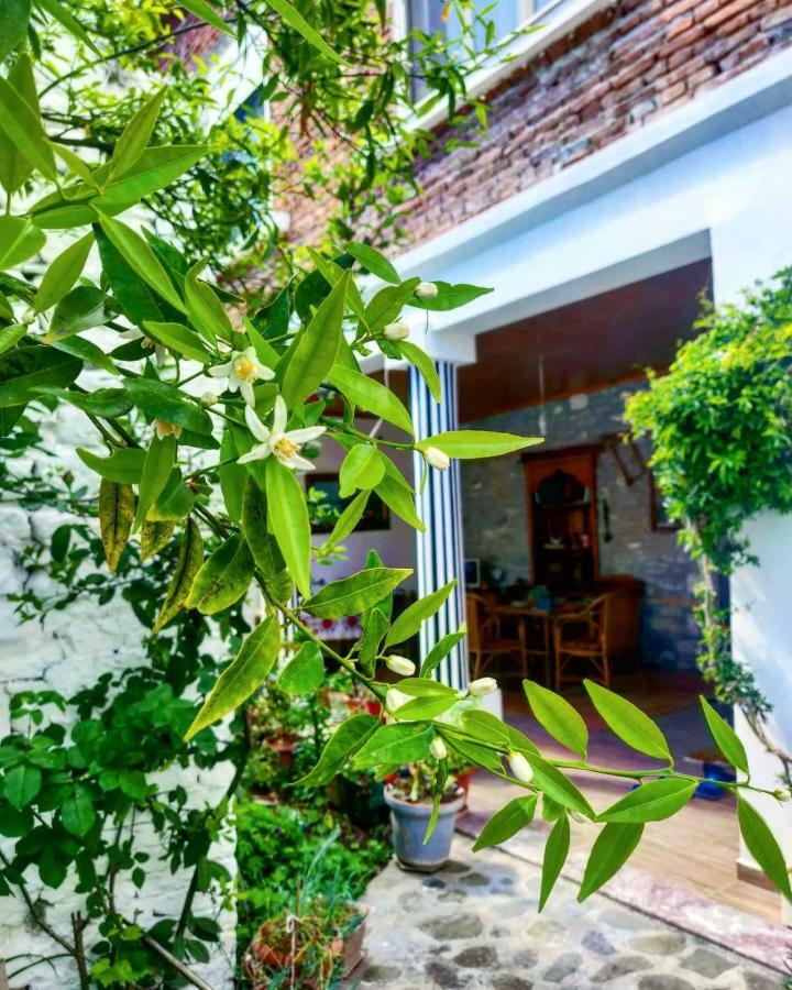Private Apartment Elbasan Historic Center 외부 사진